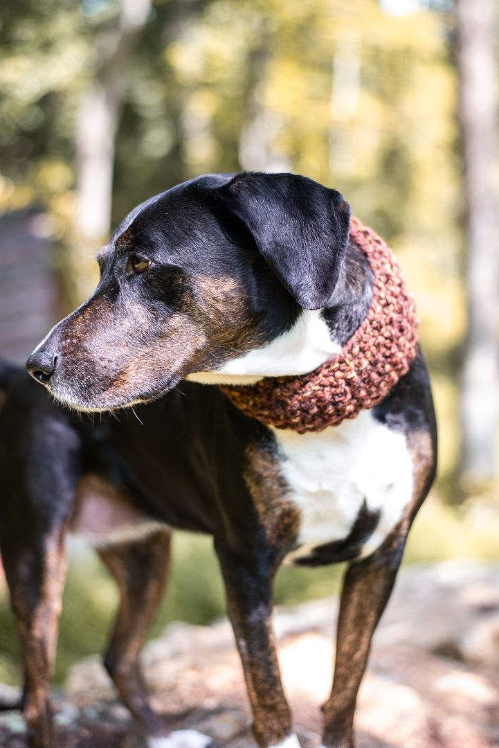 Matching Pebble Headband & Cowl Set