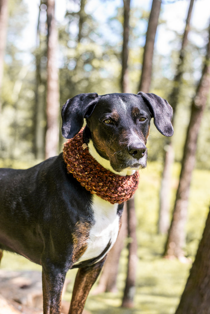 Matching Pebble Headband & Cowl Set