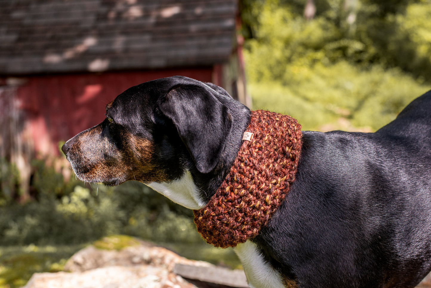 Matching Pebble Headband & Cowl Set