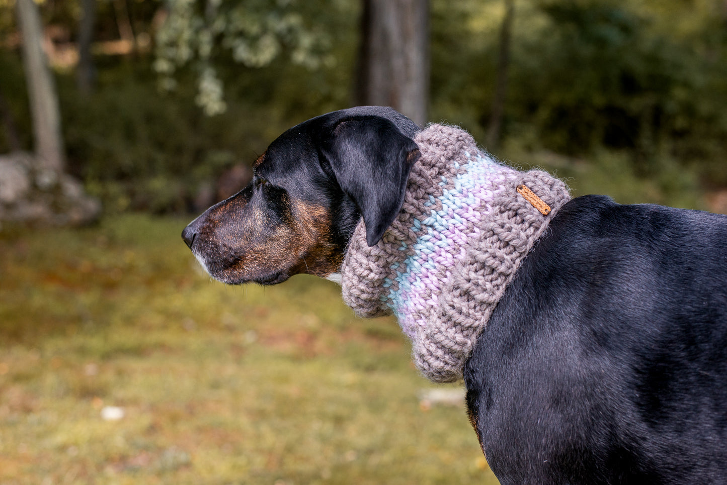 Ombré Pet Cowl
