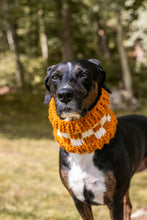Load image into Gallery viewer, Checkered Pet Cowl
