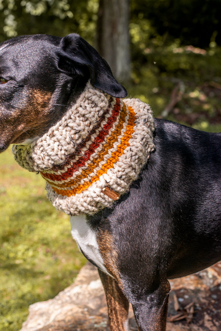 Retro Trademark Pet Cowl