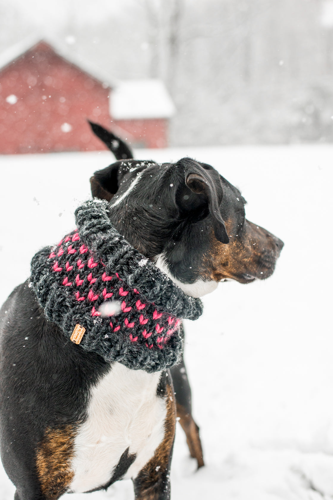 Matching Little Heart Beanie & Cowl Set