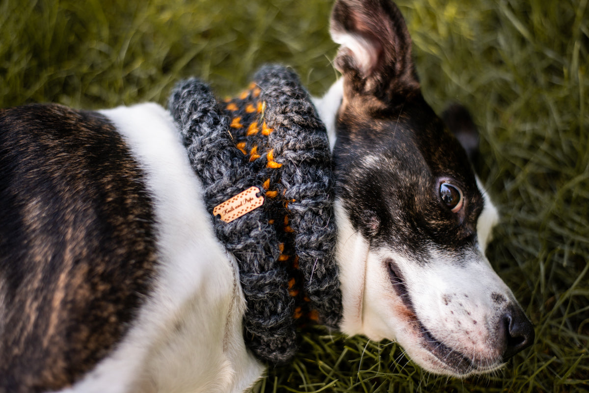 Little Heart Pet Cowl