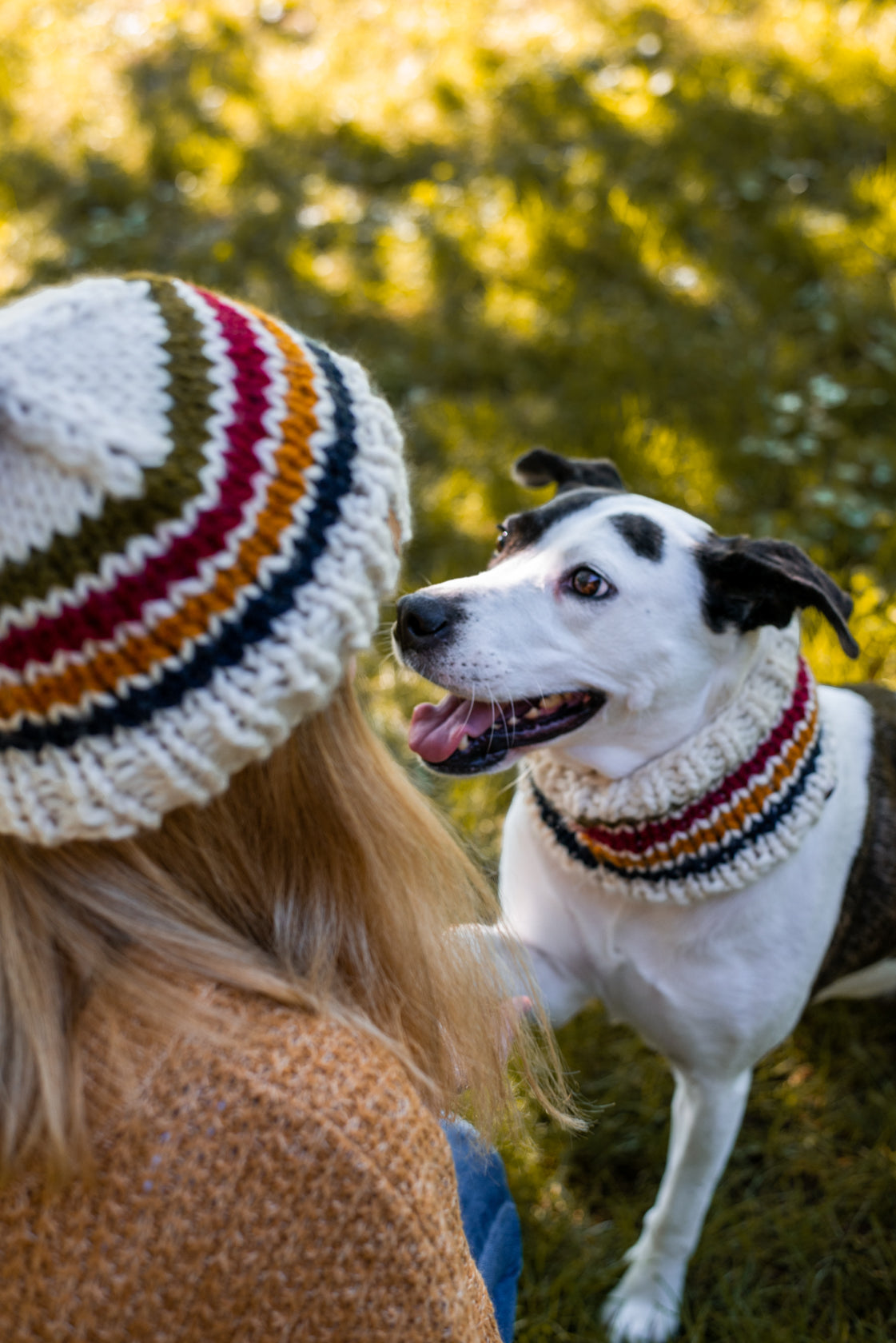 Trademark Pet Cowl