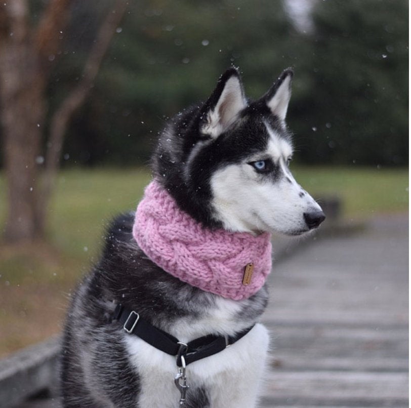 Braided Pet Cowl