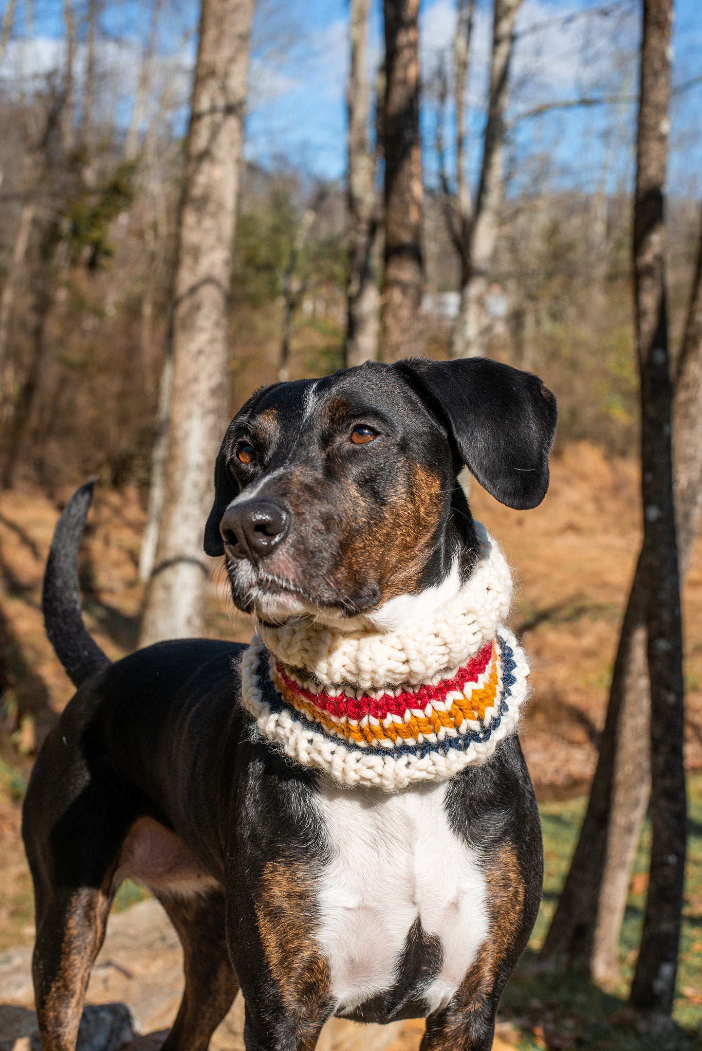 Trademark Pet Cowl