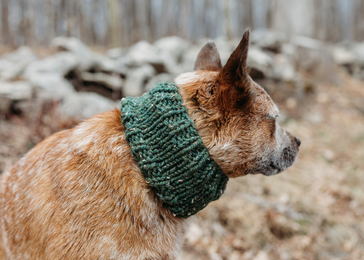Classic Pet Cowl