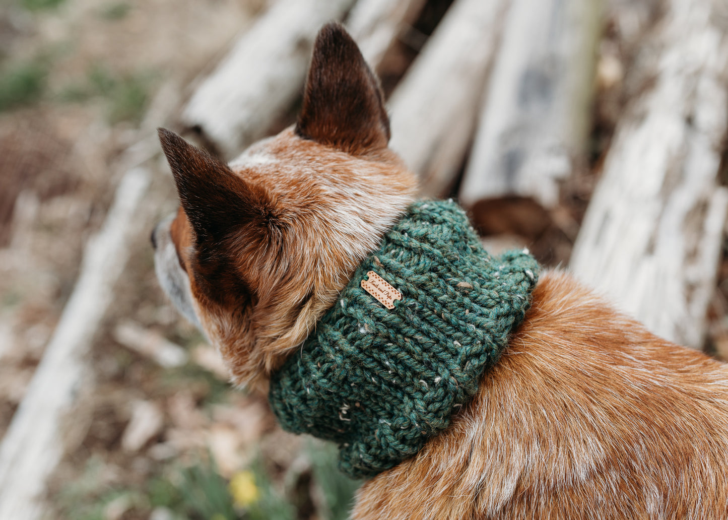 Classic Pet Cowl
