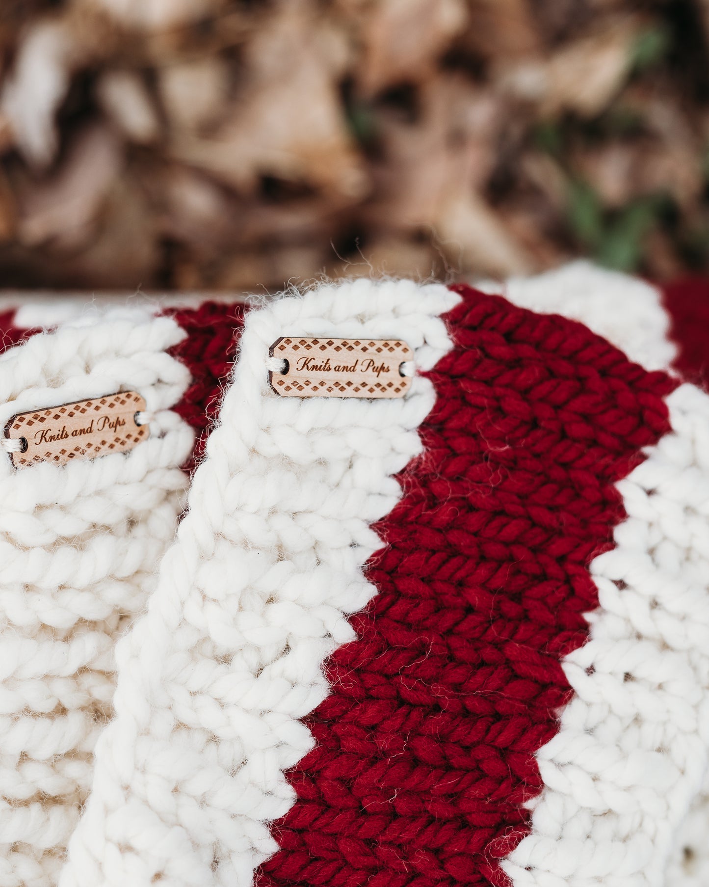 Santa Pet Cowl