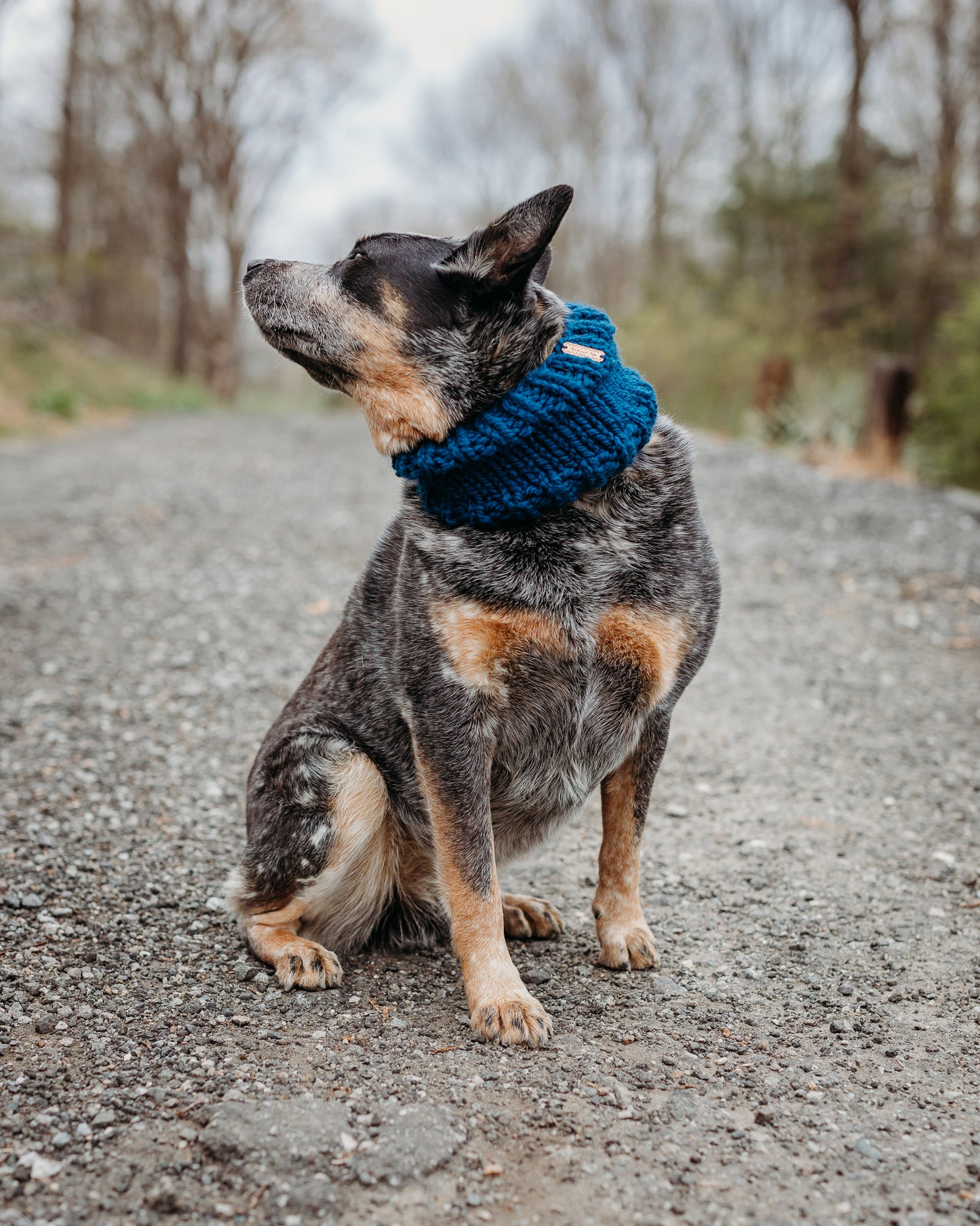 Classic Pet Cowl