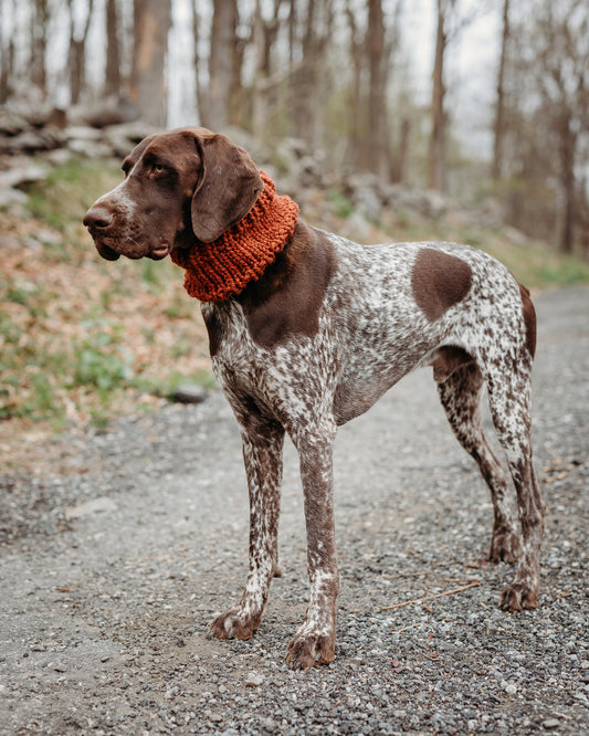 Classic Pet Cowl