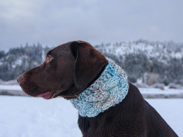 Braided Pet Cowl