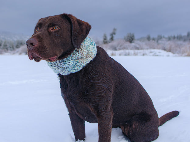 Braided Pet Cowl