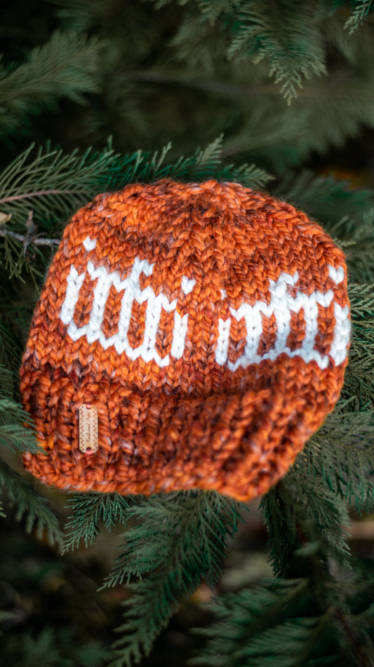 Pumpkin Spice Beanie