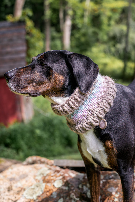 Ombré Pet Cowl