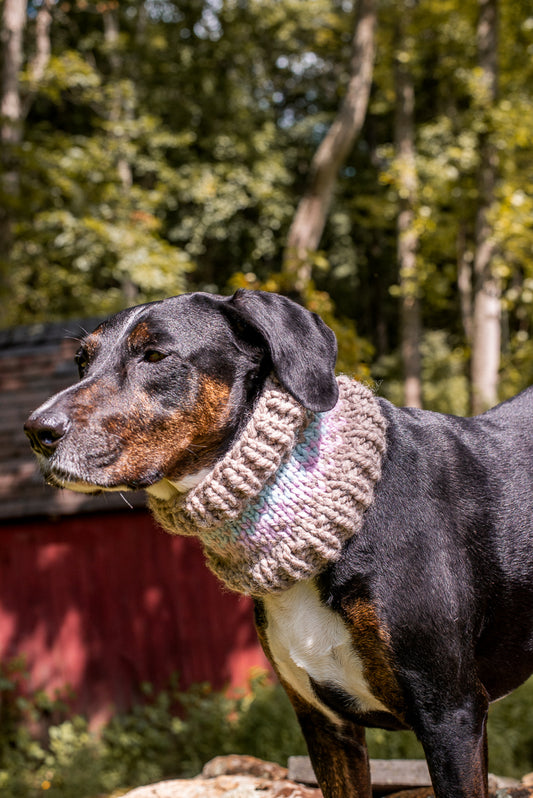 Ombré Pet Cowl