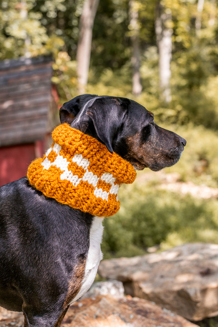 Checkered Pet Cowl