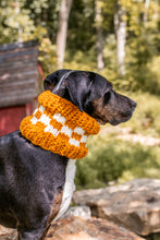 Load image into Gallery viewer, Checkered Pet Cowl
