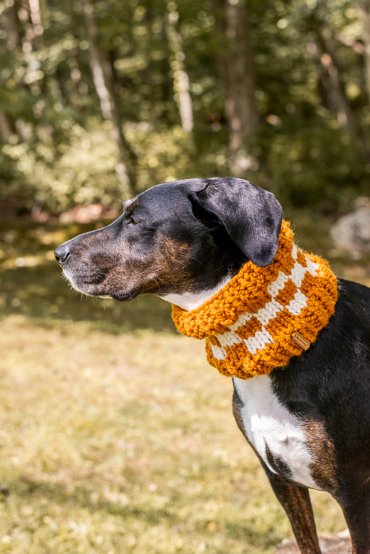Checkered Pet Cowl
