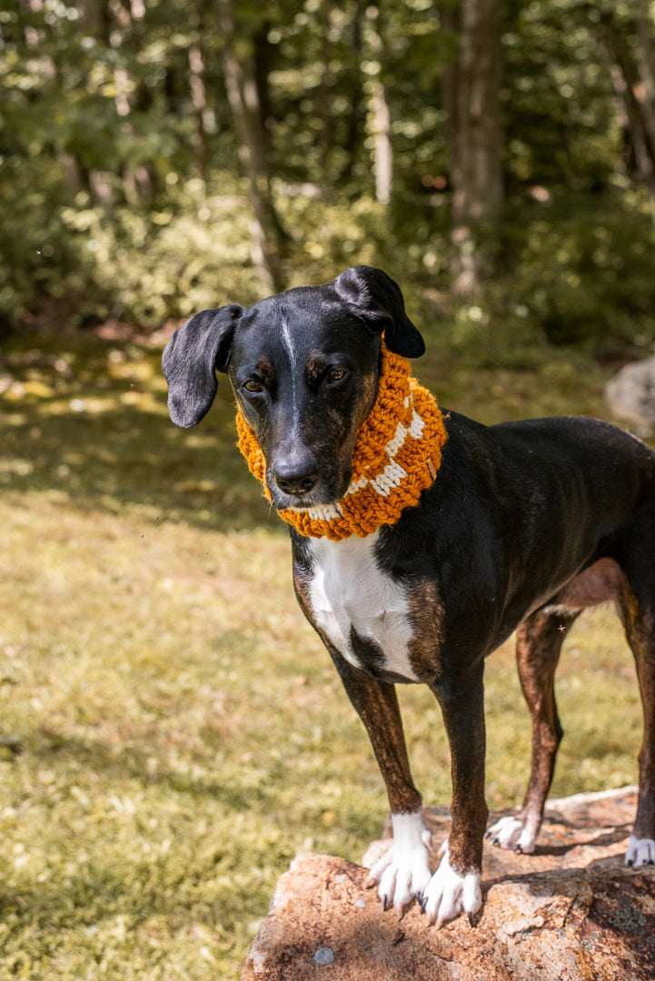 Checkered Pet Cowl