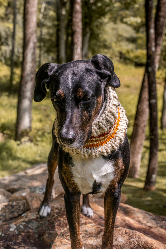 Retro Trademark Pet Cowl