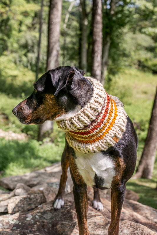 Retro Trademark Pet Cowl