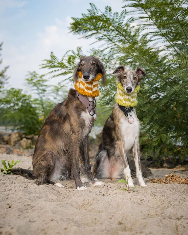 Checkered Pet Cowl