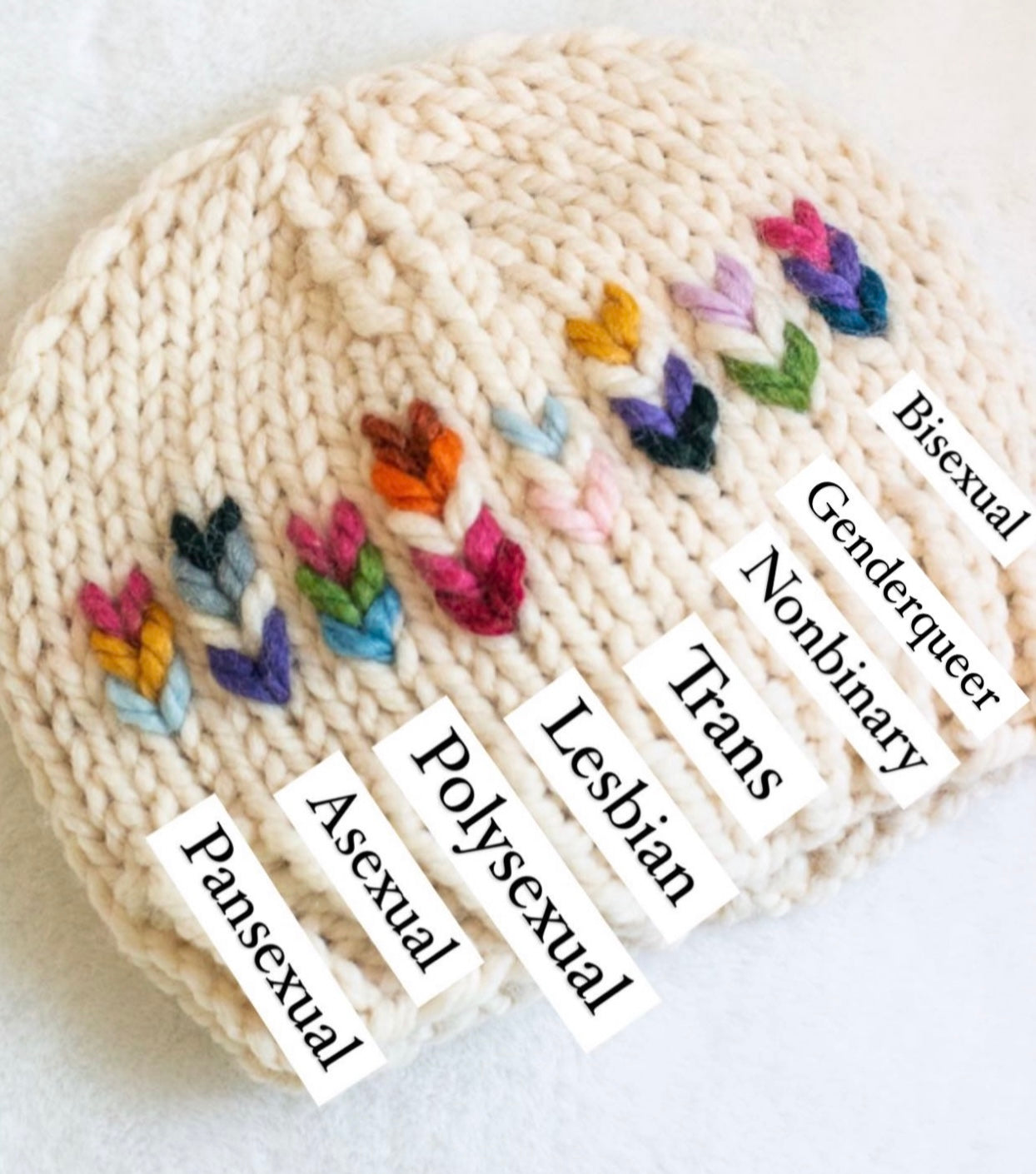 Choose Your Pride Beanie