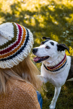 Load image into Gallery viewer, Pendleton Pet Cowl

