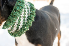 Load image into Gallery viewer, House Pride Pet Cowl
