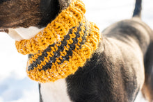 Load image into Gallery viewer, House Pride Pet Cowl
