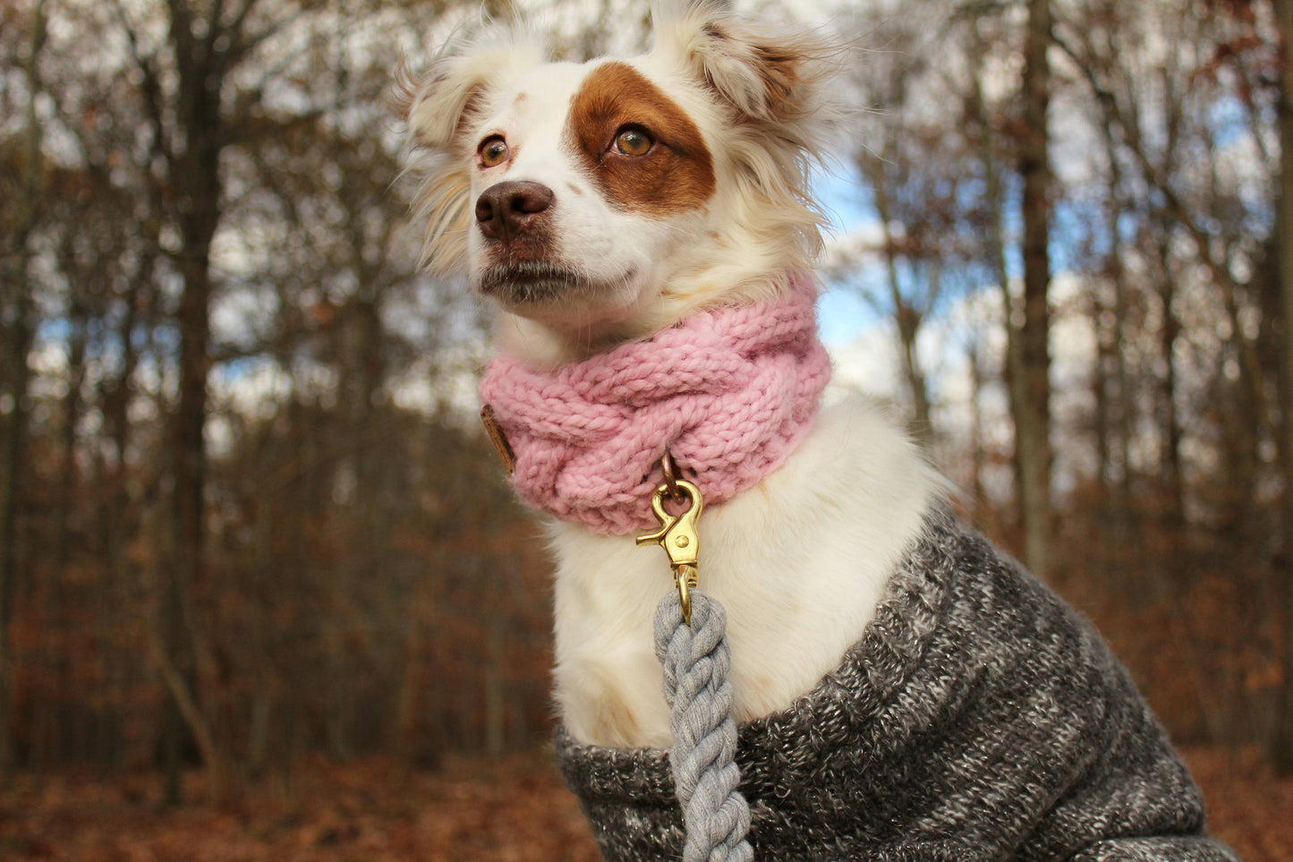 Braided Pet Cowl