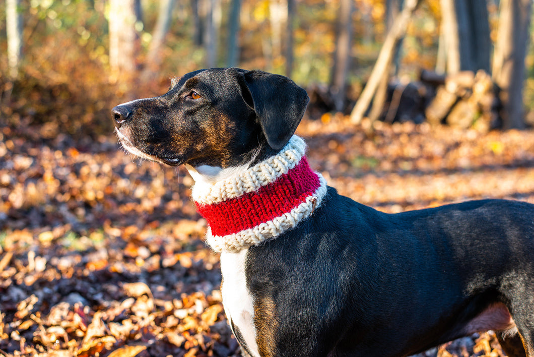 Santa Pet Cowl